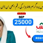 8171 Ehsaas Program 25000 BISP CNIC Check Online & Registration – September 2025 Update