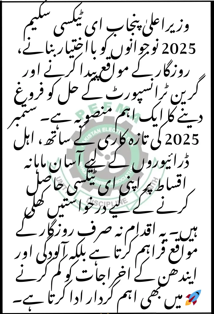 CM Punjab E-Taxi Scheme 2025