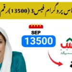 Phase 3 of 8171 Ehsaas Program Begins – Check Eligibility for Rs. 13,500 Now!