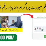 BISP 8171 September 2025 Payment – New Rs. 27,000 Installment Released