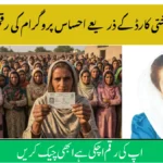 Ehsaas 8171 CNIC Check September 2025 – Complete Online Guide