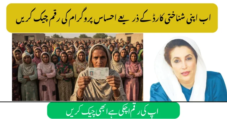 Ehsaas 8171 CNIC Check September 2025 – Complete Online Guide