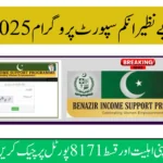 BISP Status Check 2025 – Verify CNIC & Track Payments on 8171 Portal