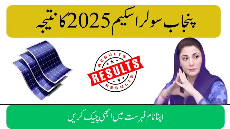 Punjab Solar Scheme Result 2025 – Check CNIC Status & Download PDF List
