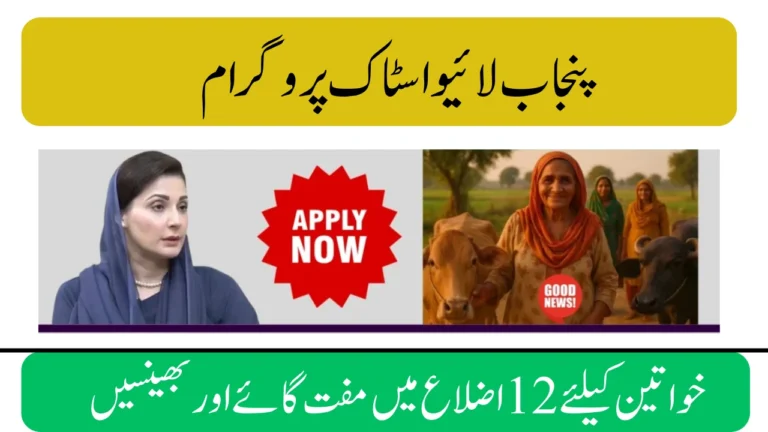 Punjab Govt Livestock Program 2025 – Free Cows & Buffaloes for Women in 12 Districts