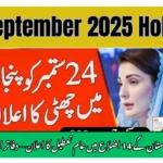 Public Holiday in Sindh on Sept 24 for By-Elections – Full District List