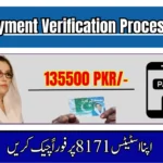 BISP Payment Verification 2025: CNIC Online & SMS Check Made Simple