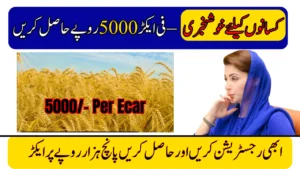CM Punjab Wheat Support Program 2025 – Register Now to Get Rs. 5000 Per Acre