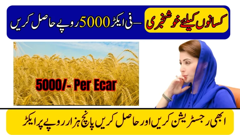 CM Punjab Wheat Support Program 2025 – Register Now to Get Rs. 5000 Per Acre