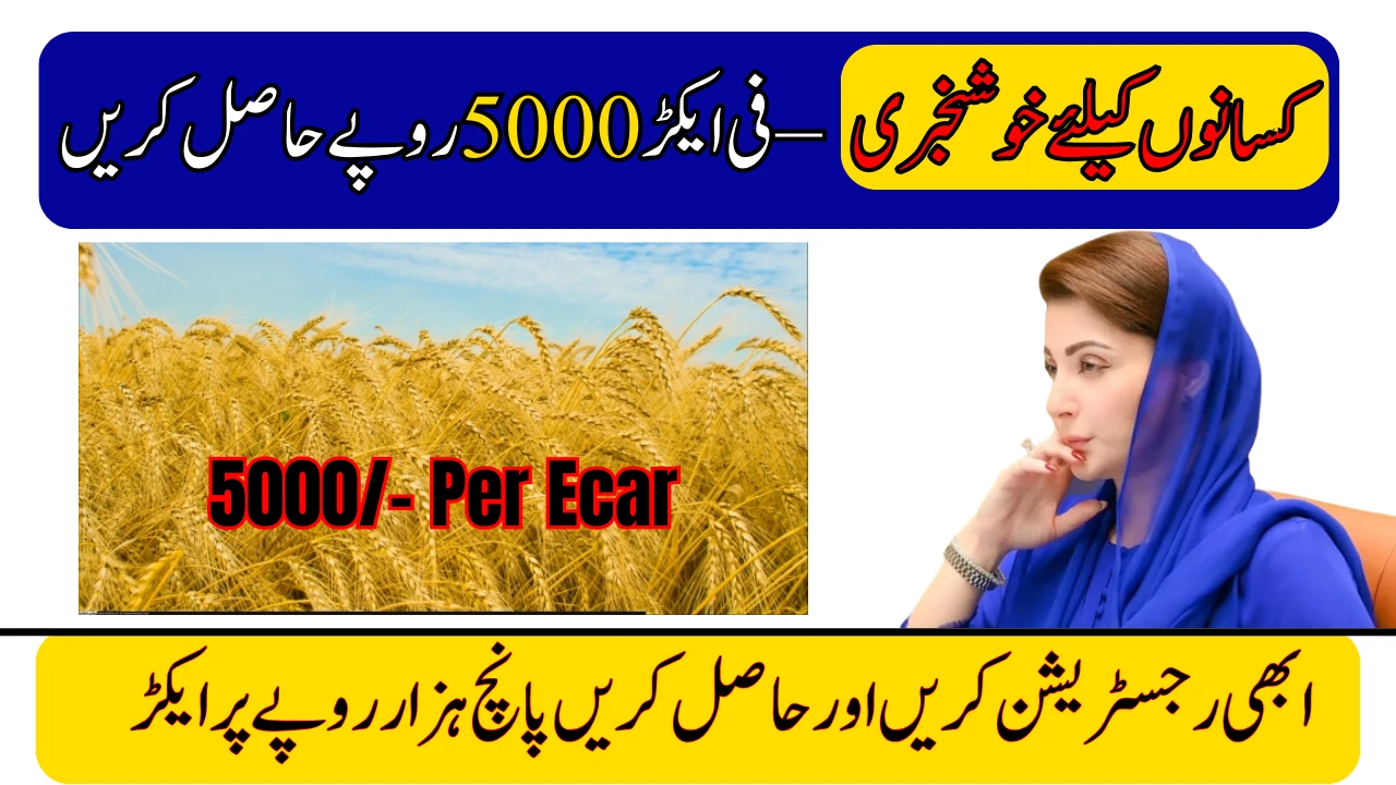 CM Punjab Wheat Support Program 2025 – Register Now to Get Rs. 5000 Per Acre
