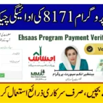 Ehsaas 8171 Payment Check 2025 – Secure Ways to Verify Your Cash Assistance