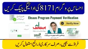 Ehsaas 8171 Payment Check 2025 – Secure Ways to Verify Your Cash Assistance