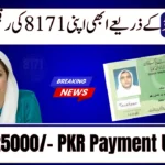 Check Your BISP Registration by CNIC 2025 – Quick Online Guide (8171 Portal)