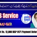 احساس پروگرام 8171 کے پیسے چیک کرنے کا نیا طریقہ 2025 – مکمل گائیڈ