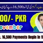 BISP 8171 November 2025 Update: Rs. 16,500 Payments Begin in 15 Districts
