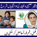 BISP Taleemi Wazaif November 2025: Get Instant Payments Without Deductions