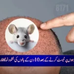 Scientists Develop 10-Day Hair Regrowth Serum in Breakthrough Study