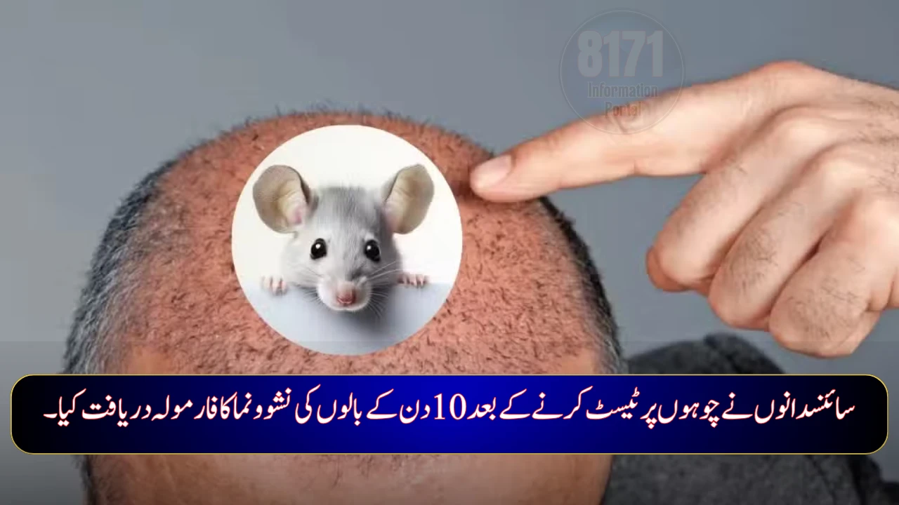 Scientists Develop 10-Day Hair Regrowth Serum in Breakthrough Study