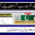 BISP Status Check 2025 – Verify CNIC & Track Payments on 8171 Portal