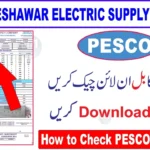 PESCO Online Bill
