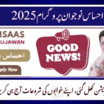 Ehsaas Nojawan Program November 2025 – Apply Online for Loans & Skill Training
