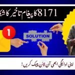 BISP 8171 Payment SMS Delay – Latest November 2025 Update