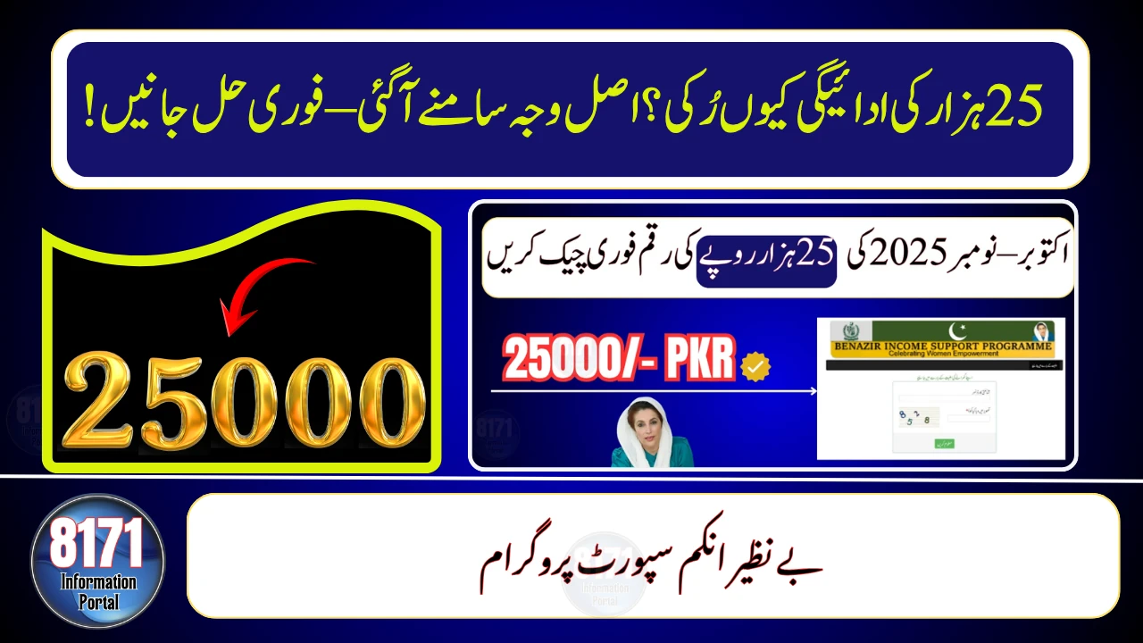 BISP 8171: Why 25000 Payments Are Stuck in Digital Accounts – Official Reason Explained