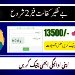 BISP Payment Phase 2 Begins: November Update & District List Revealed
