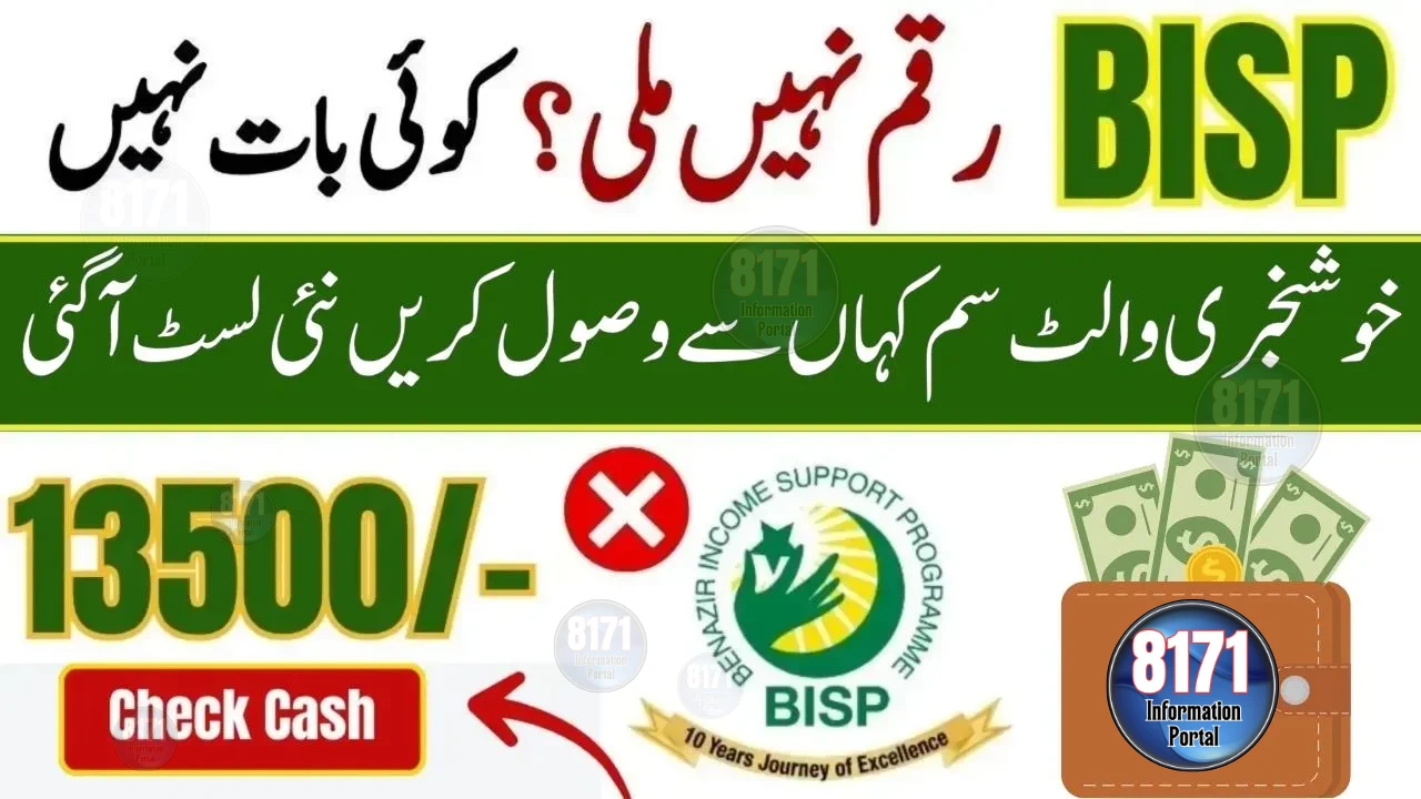 BISP Wallet SIM 8171 Complete Guide 2025