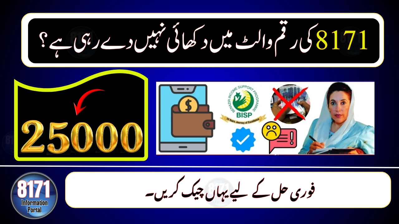 8171 Payment Missing in Wallet? Here Are the Fastest Fixes (2025 Update)