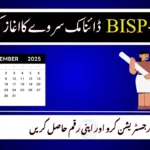 BISP Dynamic Survey Update for New Families – Complete 2025 Guide