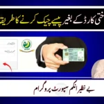 How to Track Ehsaas Payment Without CNIC (Instant 2025 Method)