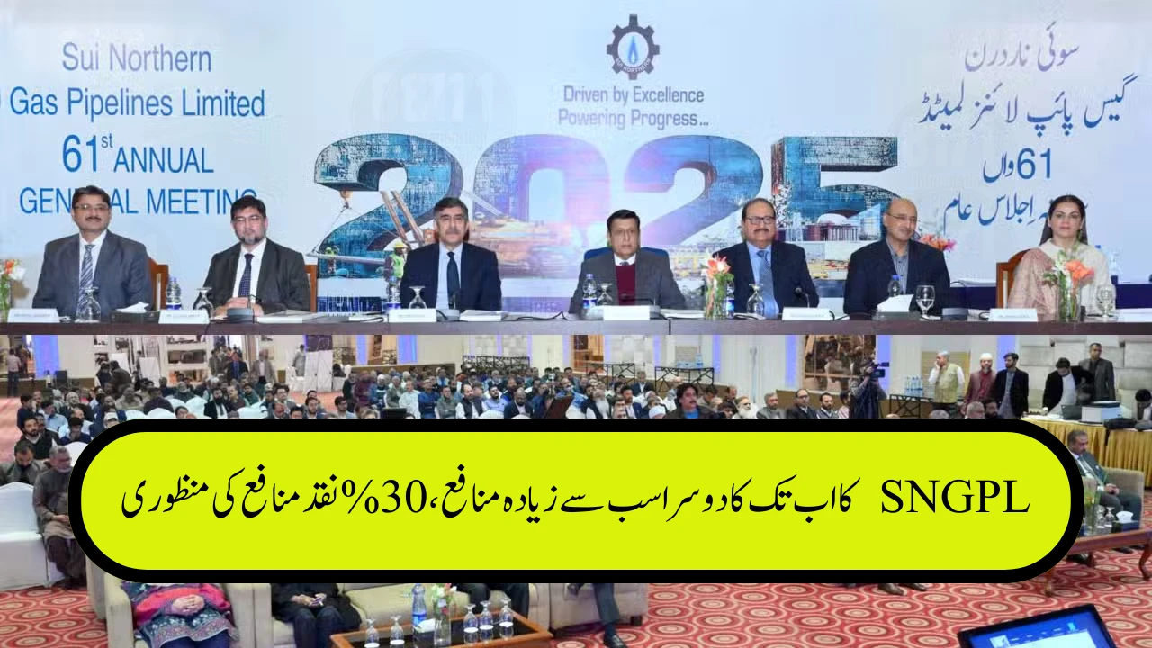 SNGPL Posts 2nd-Highest Profit Ever, Approves 30% Cash Dividend