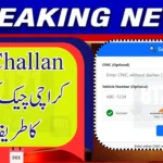 How To Check E Challan Karachi