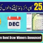 Rs25,000 Prize Bond Draw Results Announced — Check Winning Numbers