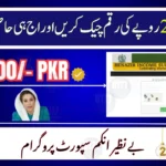 8171 Tracking Portal 2026 – Check Ehsaas Rs. 25,000 by CNIC Now