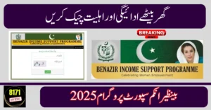 BISP Beneficiary Status Check 2026 – Verify CNIC & Track Payments Online