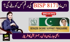 BISP 8171 Payments October 2026 – Who Will Receive This Month’s Support?
