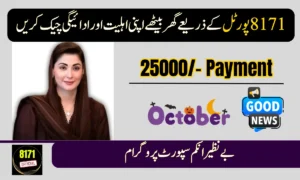 8171 Tracking Portal October 2026: Check Your CNIC Status Online Today