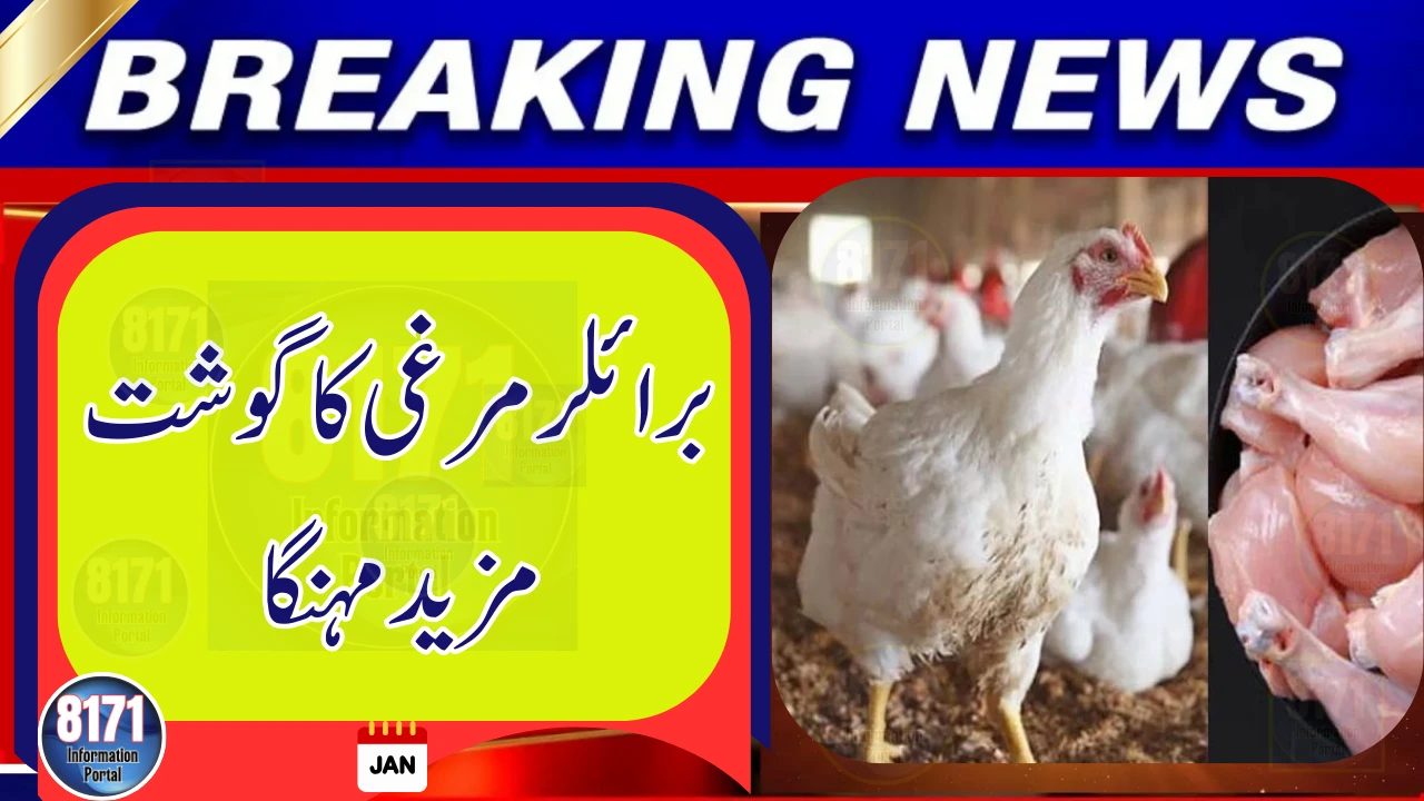 Broiler Chicken Meat Prices Rise Again in Local Markets