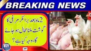 Chicken Meat Could Become Scarce in Pakistan Within Two Months