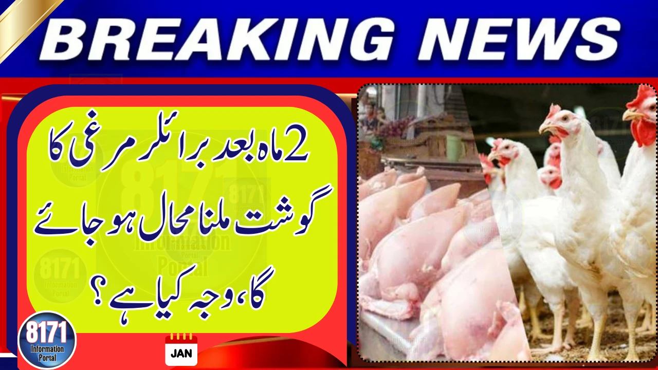 Chicken Meat Could Become Scarce in Pakistan Within Two Months