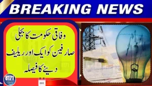 Federal Government Announces Electricity Relief Plan for Consumers