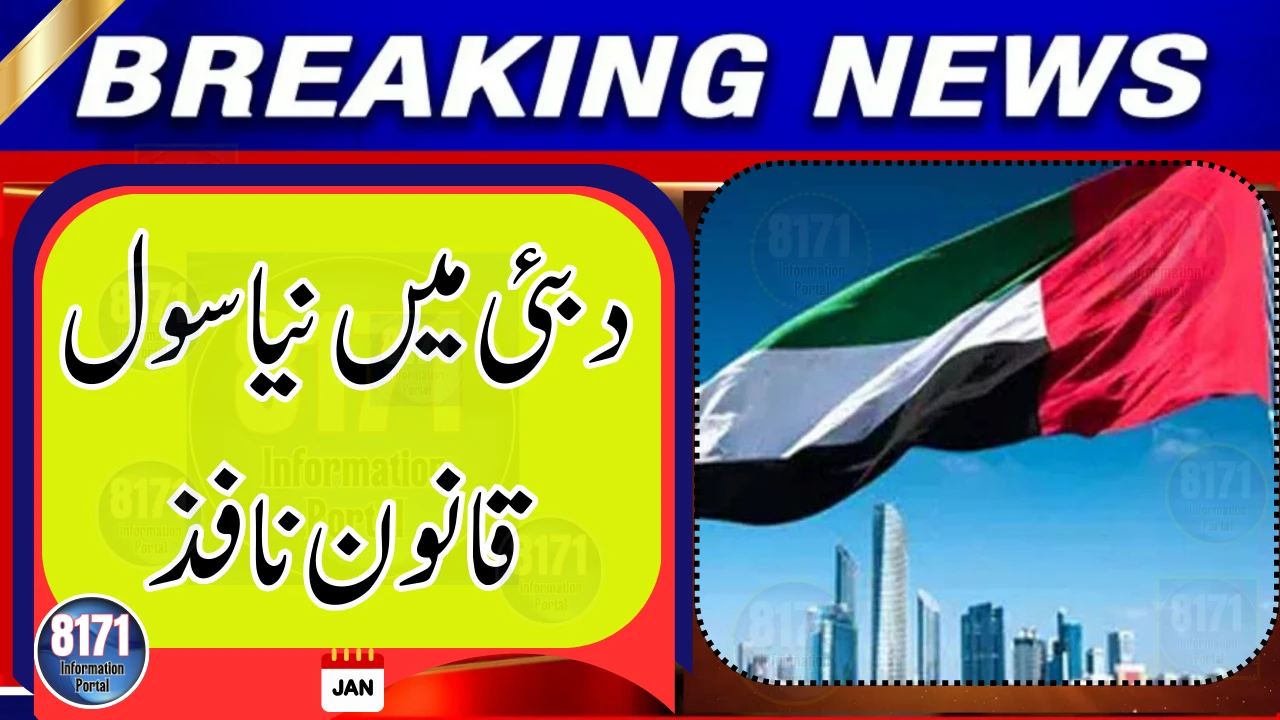 New Civil Law in UAE Grants Greater Legal Independence to Youth