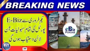 Punjab’s e-Biz Portal to Go Fully Online From February 1