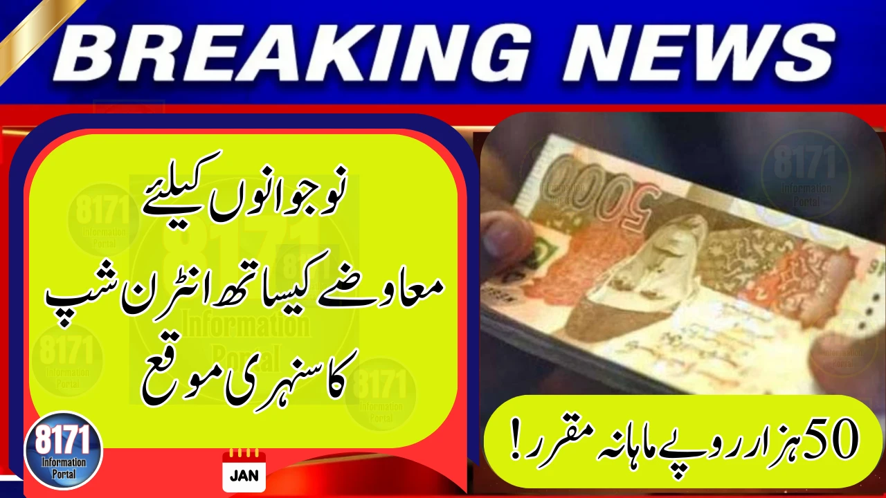 Punjab Transport Company Announces Paid Internship Opportunity for Youth