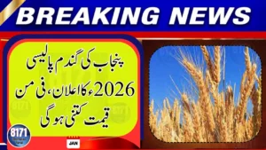 Punjab Wheat Policy 2026 Officially Notified