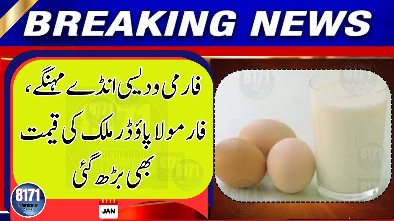 Egg Prices Rise Again as Baby Formula Milk Becomes More Expensive