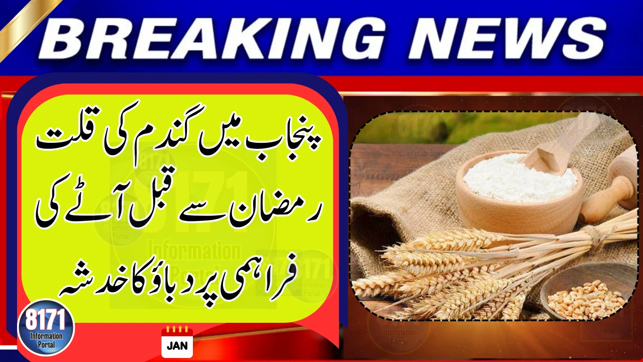 Wheat Shortage in Punjab Raises Concerns Ahead of Ramadan