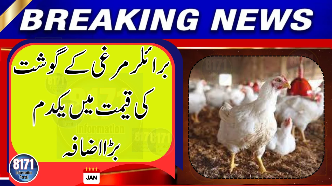 Sharp Increase in Broiler Chicken Prices Hits Lahore